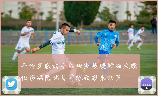 平价罗威的奎因坦斯展现野猫天赋但伤病隐忧与罚球致敬米切罗